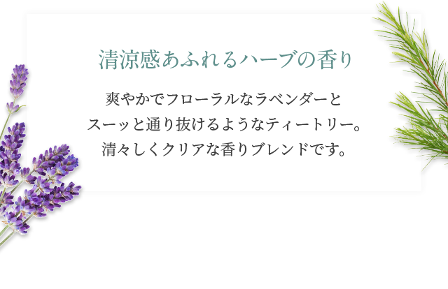 清涼感あふれるハーブの香り 爽やかでフローラルなラベンダーとスーッと通り抜けるようなティートリー。清々しくクリアな香りブレンドです。