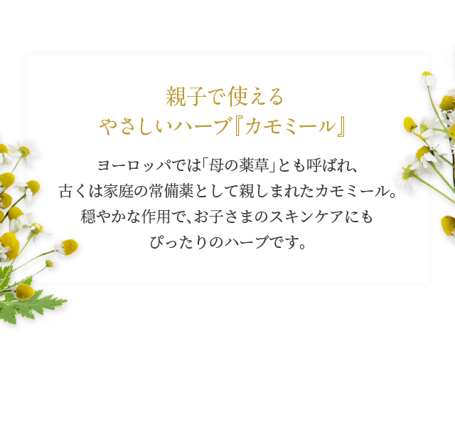 親子で使えるやさしいハーブ『カモミール』 ヨーロッパでは「母の薬草」とも呼ばれ、古くは家庭の常備薬として親しまれたカモミール。穏やかな作用で、お子さまのスキンケアにもぴったりのハーブです。