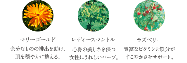 マリーゴールド 余分なものの排出を助け、肌を穏やかに整える。 レディースマントル 心身の美しさを保つ女性にうれしいハーブ。 ラズベリー 豊富なビタミンと鉄分がすこやかさをサポート。