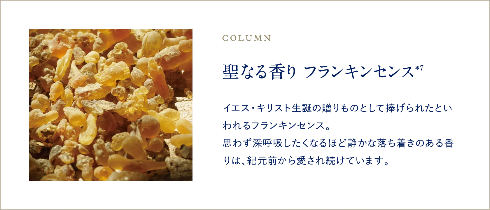 聖なる香り フランキンセンス イエス・キリスト生誕の贈りものとして捧げられたといわれるフランキンセンス。思わず深呼吸したくなるほど静かな落ち着きのある香りは、紀元前から愛され続けています。