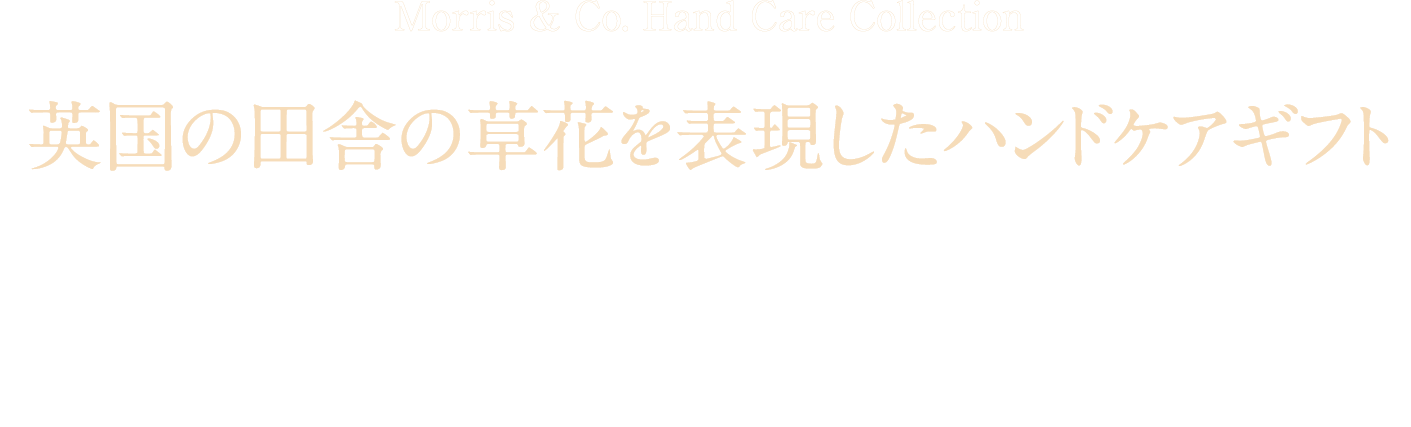 Morris & Co. Hand Care Collection 英国の田舎の草花を表現したハンドケアギフト ウィリアム・モリスのアイコニックなブラックソーンプリントにインスパイアされた、軽やかでフローラル、ボタニカルな香りのハンドウォッシュ＆ローション。特製BOXでお届けします。