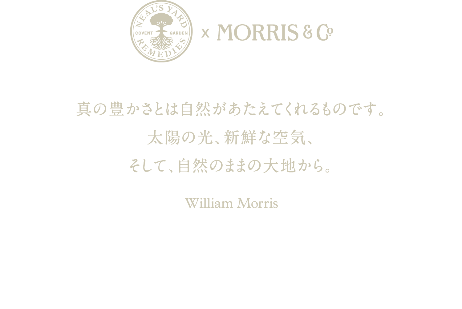 心の豊かさとは自然があたえてくれるものです。太陽の光、新鮮な空気、そして、自然のままの大地から。ウィリアム・モリスの信念に賛同し、自然によってインスパイアされた2024年クリスマスコレクション。これからも変わらずに生物多様性を守り続けることへの誓いと、野草、花、ハーブなど植物の永遠の美しさへの賛辞を表現しています。