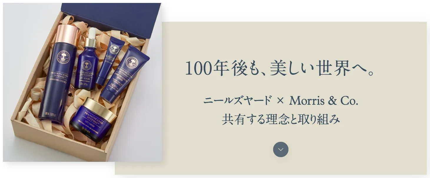 100年後も、美しい世界へ。