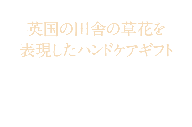 Morris & Co. Hand Care Collection 英国の田舎の草花を表現したハンドケアギフト ウィリアム・モリスのアイコニックなブラックソーンプリントにインスパイアされた、軽やかでフローラル、ボタニカルな香りのハンドウォッシュ＆ローション。特製BOXでお届けします。