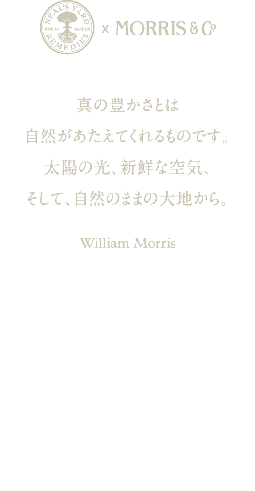 心の豊かさとは自然があたえてくれるものです。太陽の光、新鮮な空気、そして、自然のままの大地から。ウィリアム・モリスの信念に賛同し、自然によってインスパイアされた2024年クリスマスコレクション。これからも変わらずに生物多様性を守り続けることへの誓いと、野草、花、ハーブなど植物の永遠の美しさへの賛辞を表現しています。