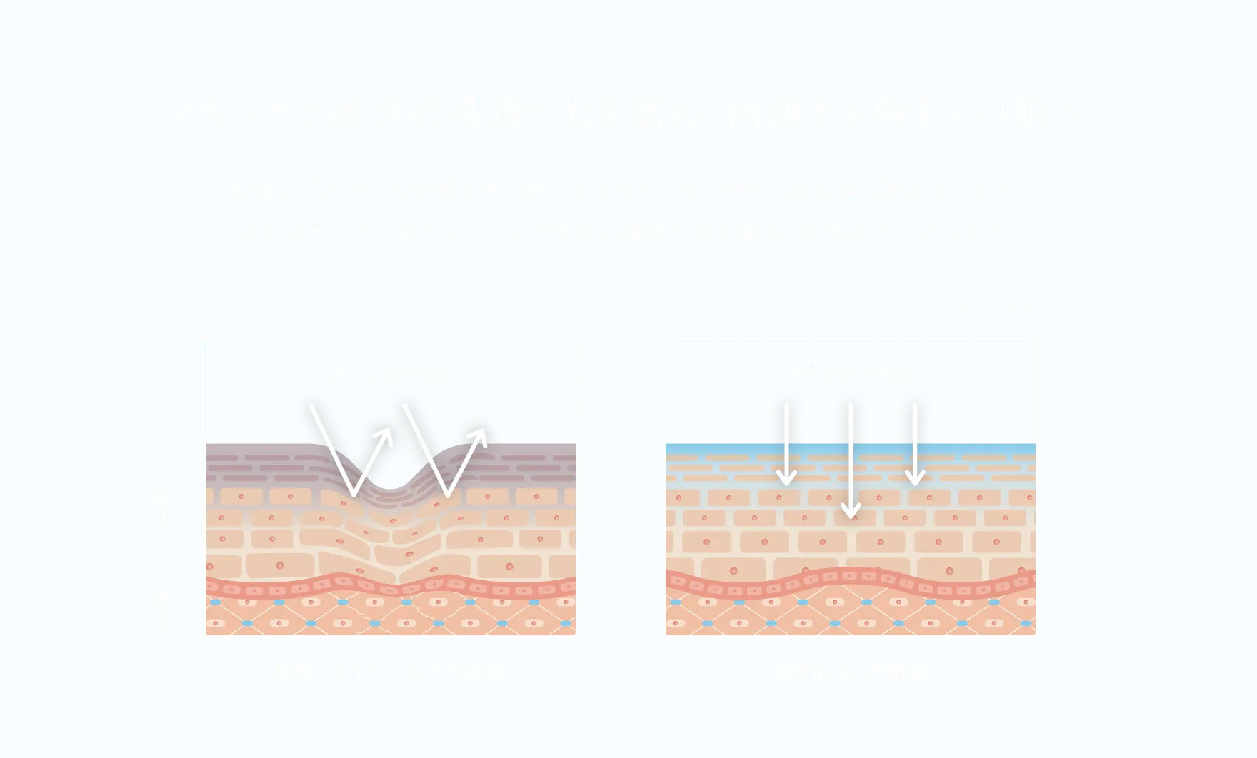 スキンケア成分の浸透力を高め、内側から弾むハリ肌へ