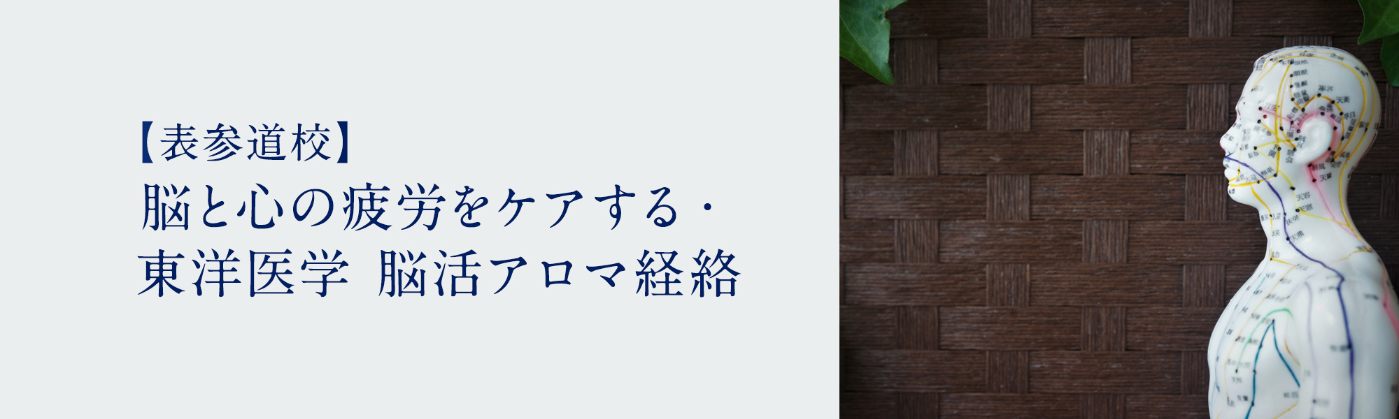 脳と心の疲労をケアする・東洋医学 脳活アロマ経絡