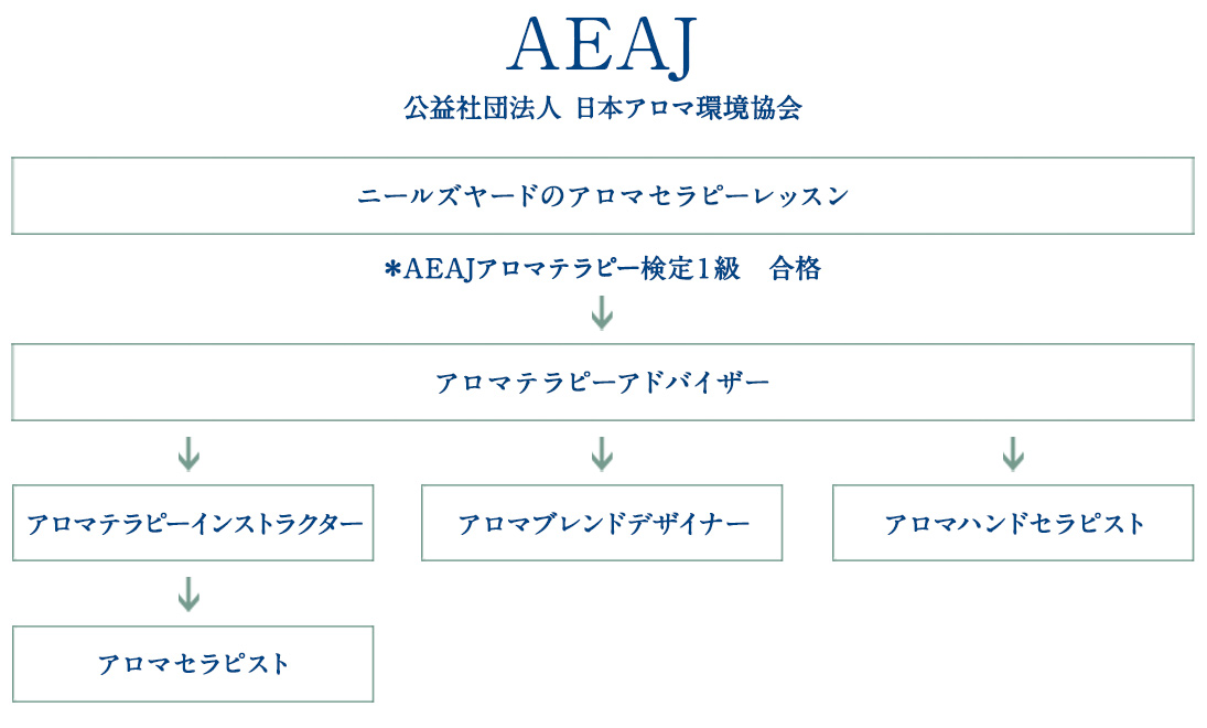 資格に対応したクラス | アロマスクール | 【ニールズヤード