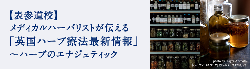 「英国ハーブ療法最新情報」〜ハーブのエナジェティック